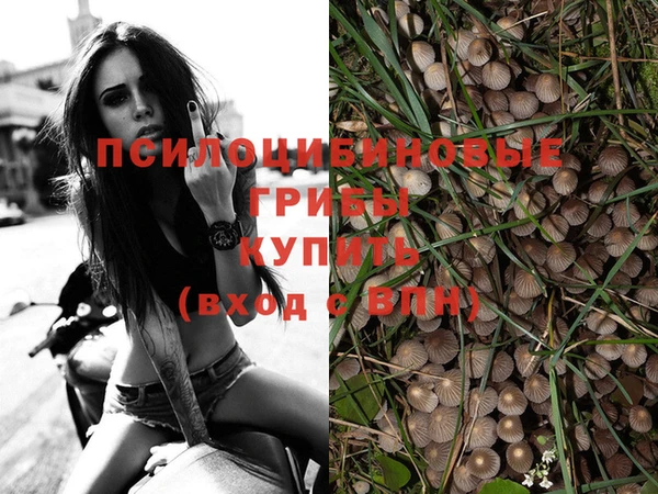 дурь Алексеевка