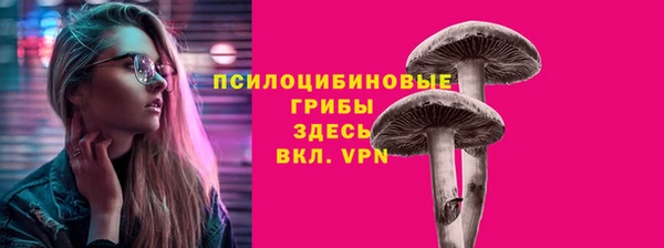 ПСИЛОЦИБИНОВЫЕ ГРИБЫ Алексин