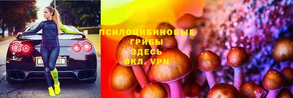 ПСИЛОЦИБИНОВЫЕ ГРИБЫ Алексин